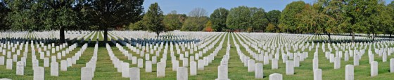ARLINGTON IMAGE FOR HISTORY BY THE NUMBERS